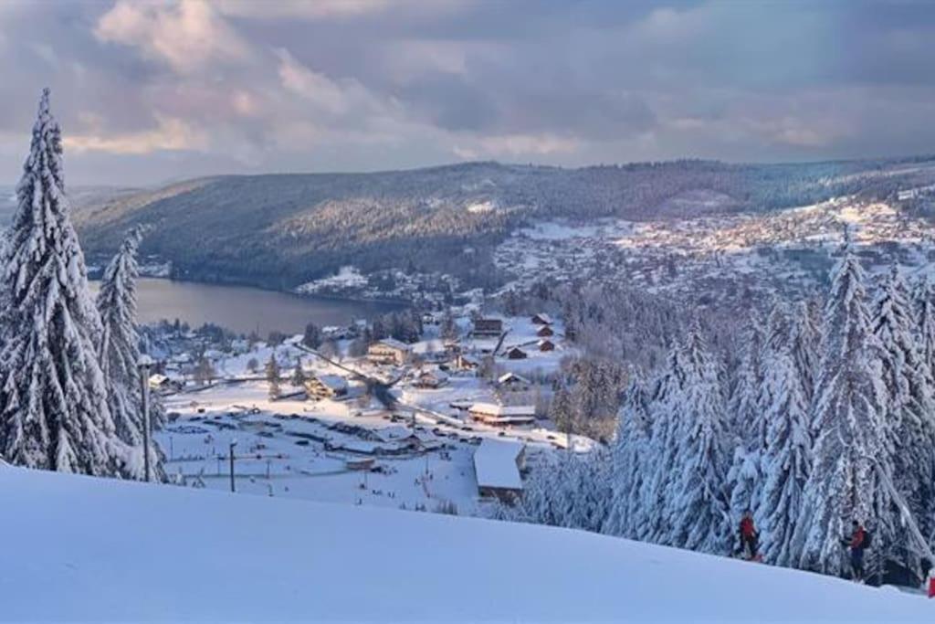 Studio Cosy Ambiance Vosgienne A 20 Mn De Gerardmer Lepanges-sur-Vologne Exteriér fotografie